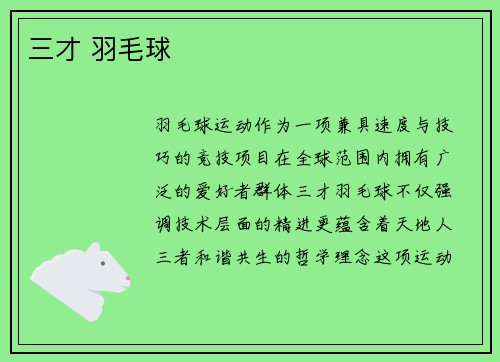 三才 羽毛球