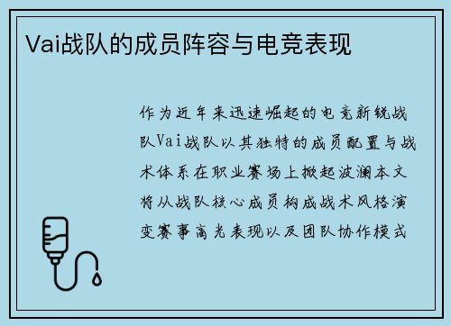 Vai战队的成员阵容与电竞表现