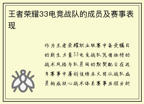 王者荣耀33电竞战队的成员及赛事表现