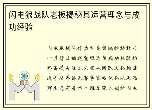 闪电狼战队老板揭秘其运营理念与成功经验