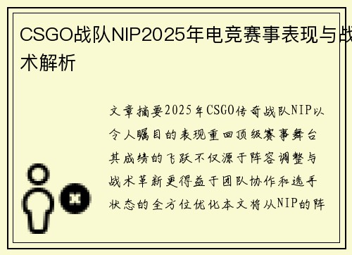 CSGO战队NIP2025年电竞赛事表现与战术解析