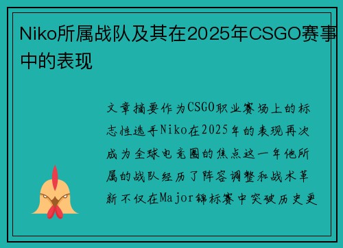Niko所属战队及其在2025年CSGO赛事中的表现